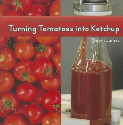 Turning Tomatoes Into Ketchup