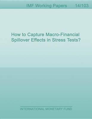 How to Capture Macro-Financial Spillover Effects in Stress Tests?