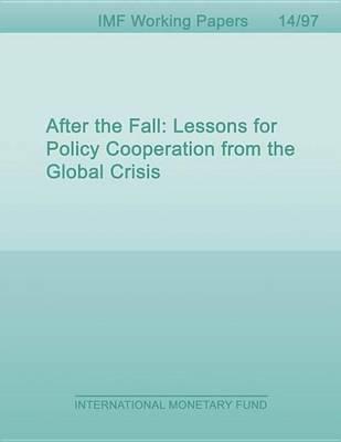 After the Fall: Lessons for Policy Cooperation from the Global Crisis