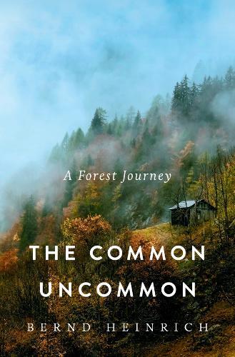 The Common Uncommon: A Forest Journey