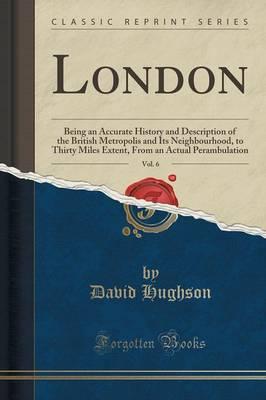 London, Vol. 6: Being an Accurate History and Description of the British Metropolis and Its Neighbourhood, to Thirty Miles Extent, from an Actual Perambulation (Classic Reprint)