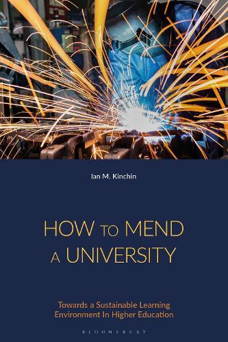 How to Mend a University: Towards a Sustainable Learning Environment In Higher Education