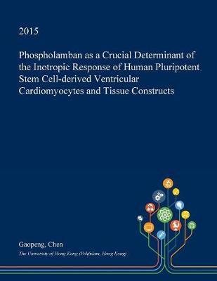 Phospholamban as a Crucial Determinant of the Inotropic Response of Human Pluripotent Stem Cell-Derived Ventricular Cardiomyocytes and Tissue Constructs