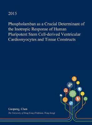 Phospholamban as a Crucial Determinant of the Inotropic Response of Human Pluripotent Stem Cell-Derived Ventricular Cardiomyocytes and Tissue Constructs