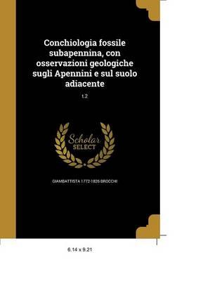 Experimental Investigation on the Web Stability of Plate Girders