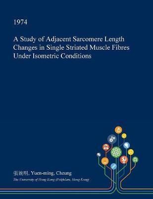 A Study of Adjacent Sarcomere Length Changes in Single Striated Muscle Fibres Under Isometric Conditions
