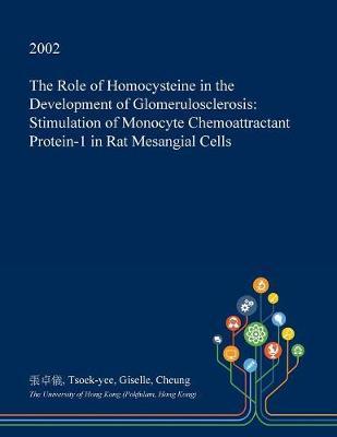 The Role of Homocysteine in the Development of Glomerulosclerosis: Stimulation of Monocyte Chemoattractant Protein-1 in Rat Mesangial Cells