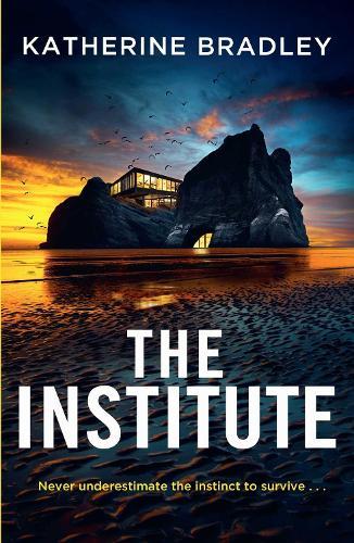 The Institute: A darkly gripping high-concept thriller about the limits of connection and control, perfect for fans of Black Mirror