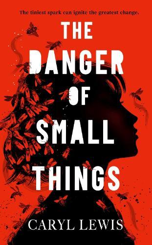 The Danger of Small Things: The YA debut from an award-winning and bestselling Welsh storyteller
