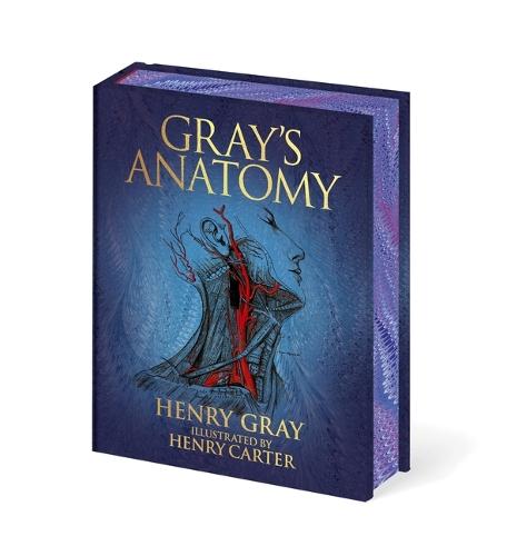 Gray's Anatomy