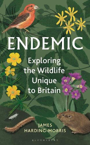 Endemic: Exploring the wildlife unique to Britain