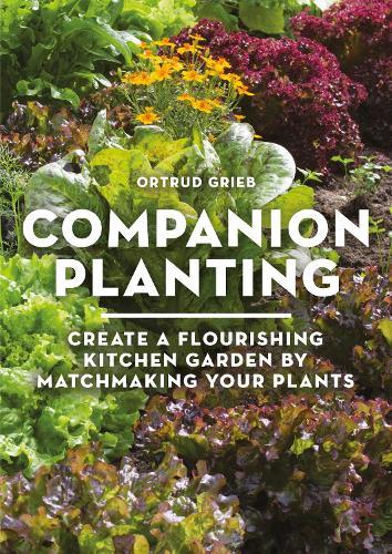 Companion Planting: Create a Flourishing Kitchen Garden By Matchmaking Your Plants