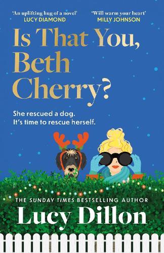 Is That You, Beth Cherry?: the warm and witty new novel from the author of Irresponsible Adult
