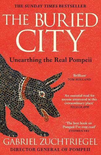 The Buried City: The Revelatory New History from the Director of Pompeii - a Sunday Times Bestseller