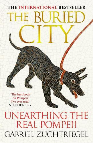 The Buried City: The Revelatory New History from the Director of Pompeii - a Sunday Times Bestseller
