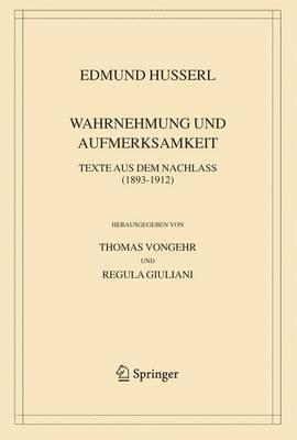 Wahrnehmung und Aufmerksamkeit: Texte aus dem Nachlass (1893–1912)