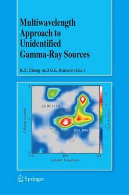 Multiwavelength Approach to Unidentified Gamma-Ray Sources: A Second Workshop on the Nature of the High-Energy Unidentified Sources