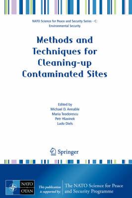 Methods and Techniques for Cleaning-up Contaminated Sites