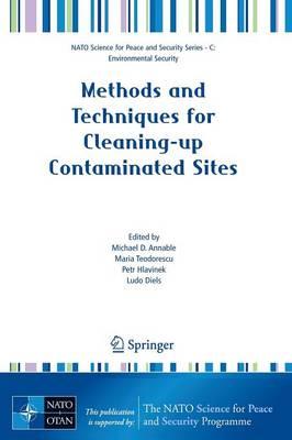 Methods and Techniques for Cleaning-up Contaminated Sites