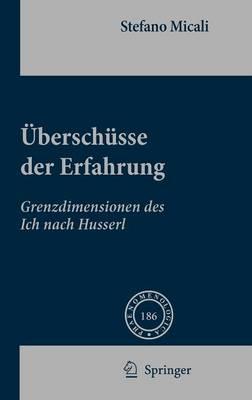 Überschüsse der Erfahrung: Grenzdimensionen des Ich nach Husserl