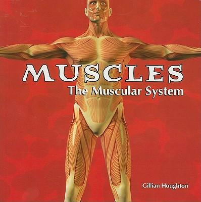Muscles: The Muscular System