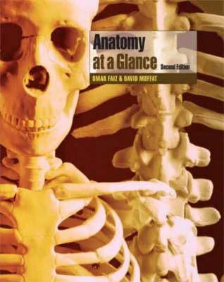 Anatomy at a Glance