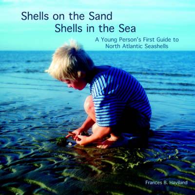 Shells on the Sand, Shells in the Sea