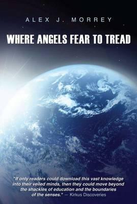 Where Angels Fear to Tread: The Nature of Reality and Meaning of God