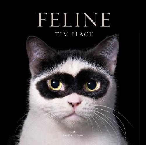 Feline: Photographs