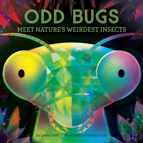 Odd Bugs (A Curious Critters Board Book): Meet Nature's Weirdest Insects