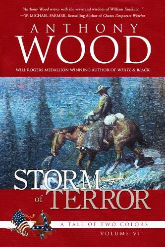 Storm of Terror: A Story of the Civil War