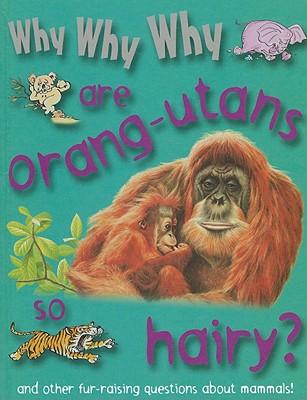 Why Why Why Are Orangutans So Hairy?