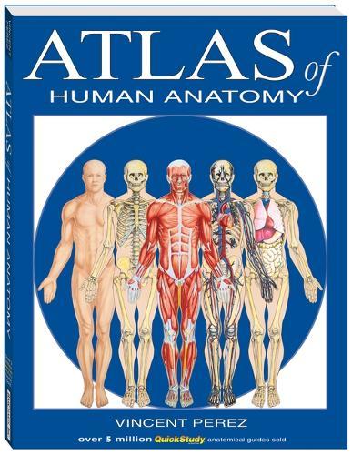 Atlas of the Human Anatomy: A Quickstudy Reference
