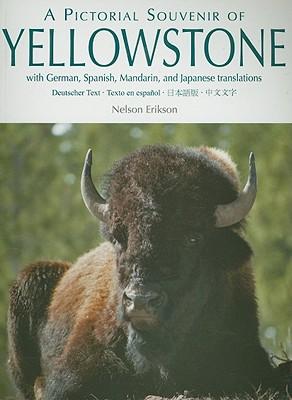 A Pictorial Souvenir of Yellowstone