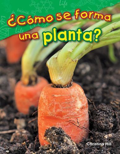 ¿Cómo se forma una planta?