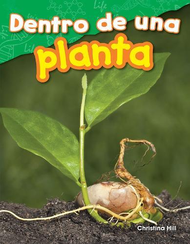 Dentro de una planta