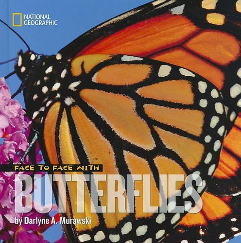Face to Face with Butterflies