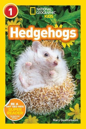 Hedgehogs (National Geographic Kids Readers, Level 1)