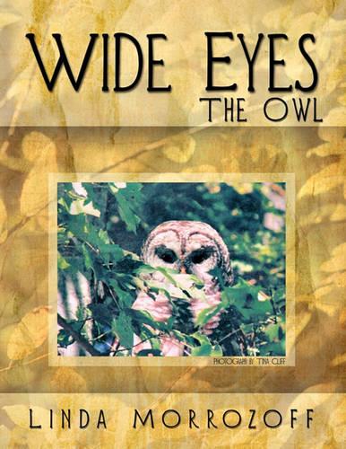 Wide Eyes The Owl