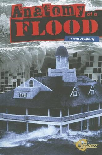 Anatomy of a Flood