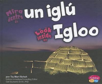 Mira Dentro de Un Iglu/Look Inside an Igloo