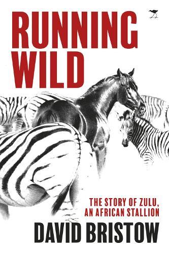 Running wild: The story of Zulu, an African stallion