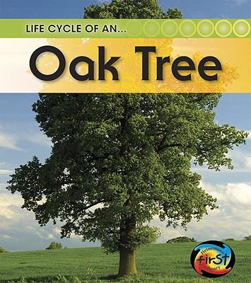 Oak Tree