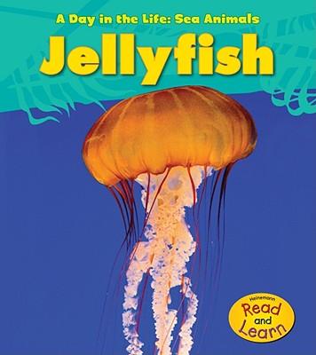 Day in the Life Sea Animals Jellyfish