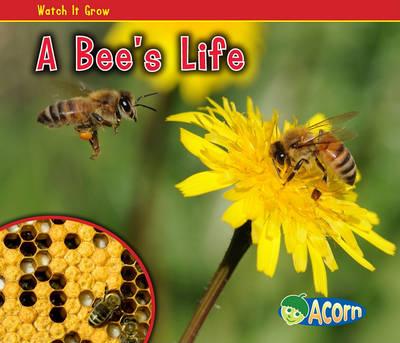 A Bee's Life