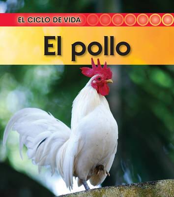 El Pollo