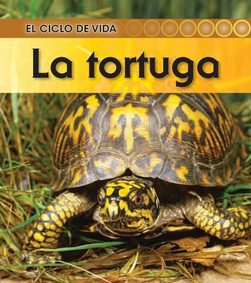 La Tortuga
