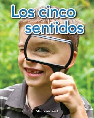 Los cinco sentidos