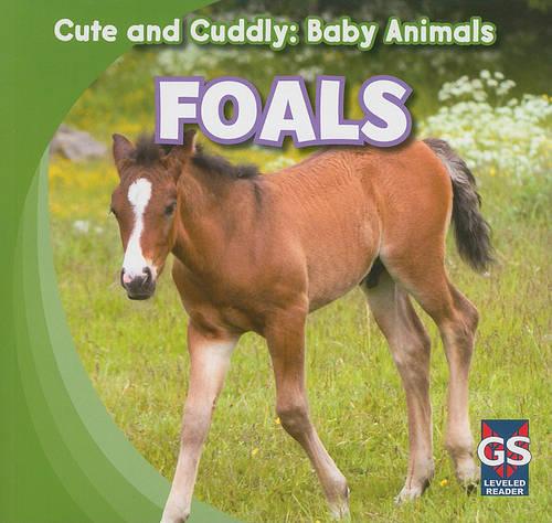 Foals