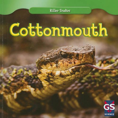 Cottonmouth